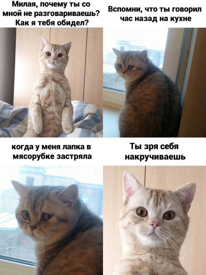 ����� � �������