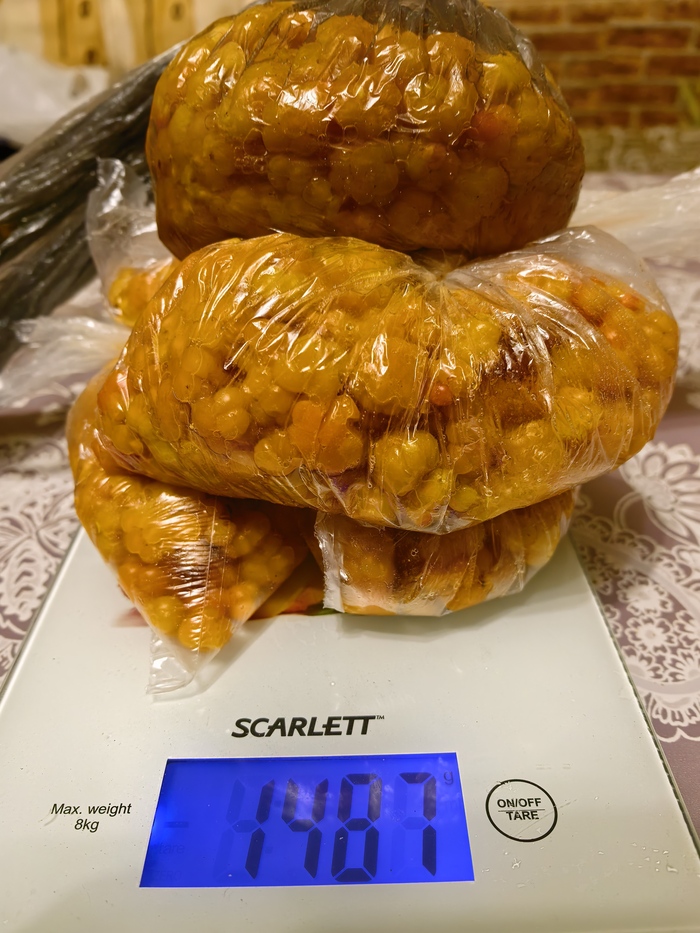27 ����. �� ��������