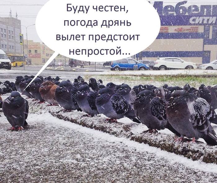 Цель операции - десант на вражеские авто с дальнейшим сбросом боеснарядов