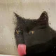������ ������������ user9425557