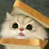 user12262931