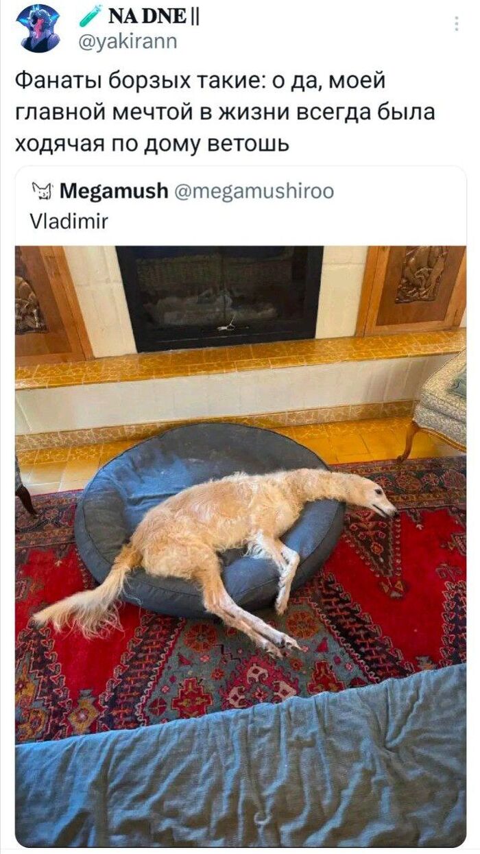 ������ ��� ������?
