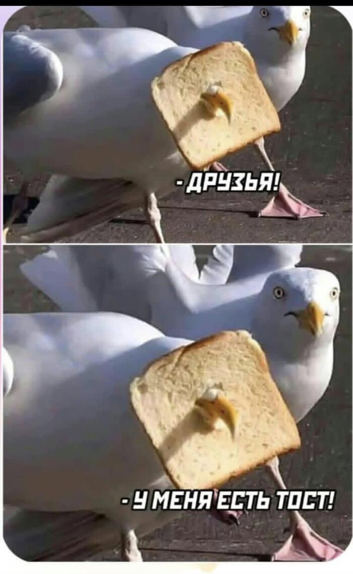 ����� ����� ������ ���� �� ������? ������!