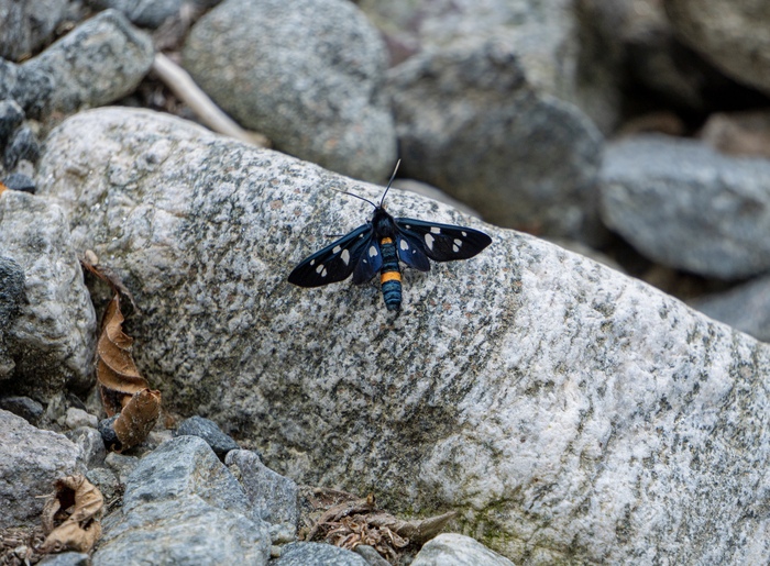 Sony a6400, �������� 55-210