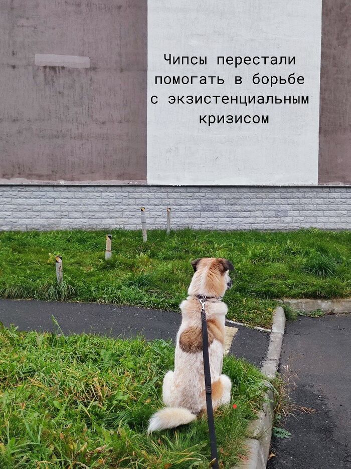 ��� ���� �����, �������