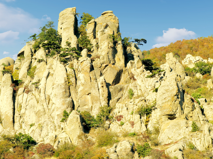 Крым, гора Демерджи, деревья на скалах