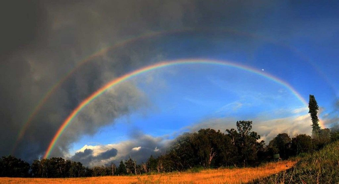 Rainbow