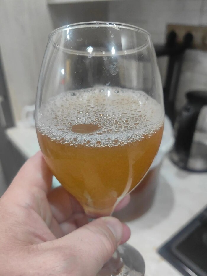��� ���� "Summer Ale". ����� Home.brewer. ���������� ��� ���������� ����������
