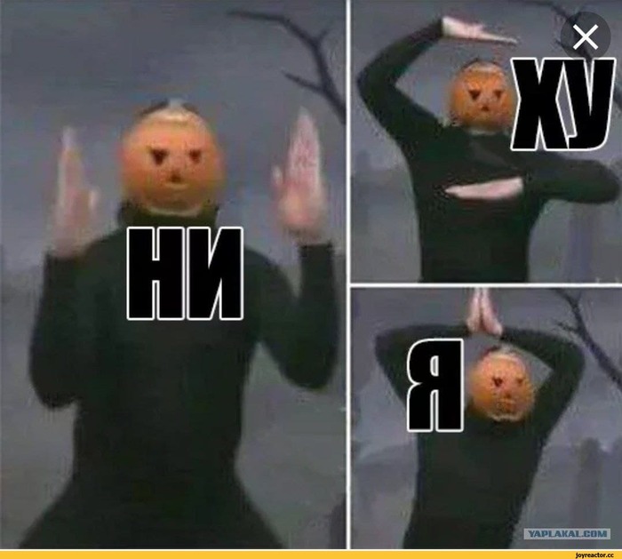 В отпуск мне пора.