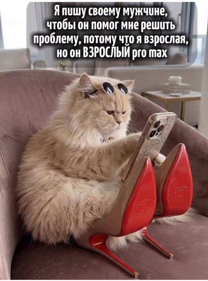 ���� �� ������ ����