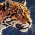 ObservantJaguar