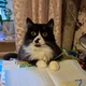 ����� ����� ������ ���� �����������