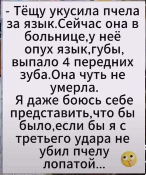 ���� ������� �����