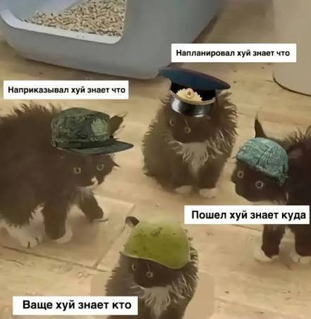 �����-�� �������