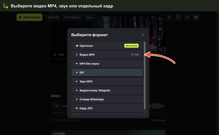 ���� <!--noindex--><a href="https://pikabu.ru/story/gde_iskat_memyi_dlya_montazha_i_rils_saytyi_s_ideyami_i_telegram_kanalyi_s_trendami_14439402?u=http%3A%2F%2Fmem.video&t=mem.video&h=b5b28ba63a11917fc2cc4a5958be441830f8b7f5" title="http://mem.video" target="_blank" rel="nofollow noopener">mem.video</a><!--/noindex--> � ���������� ���������� ����� � �����