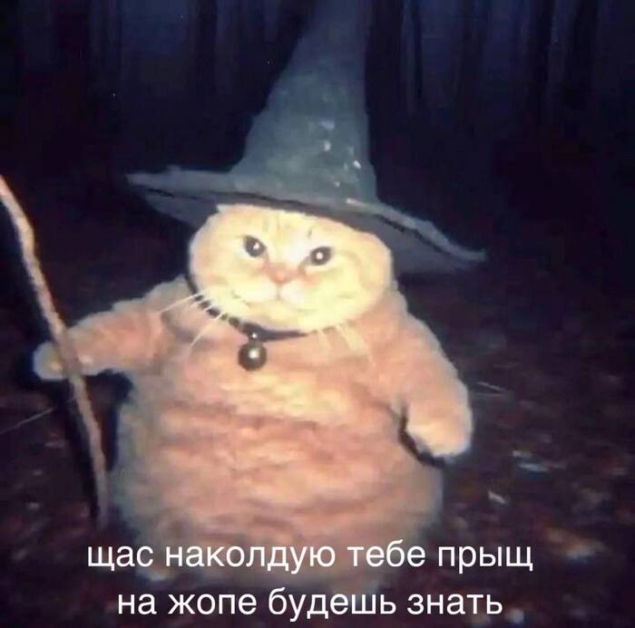 �� ������ ������ �����������