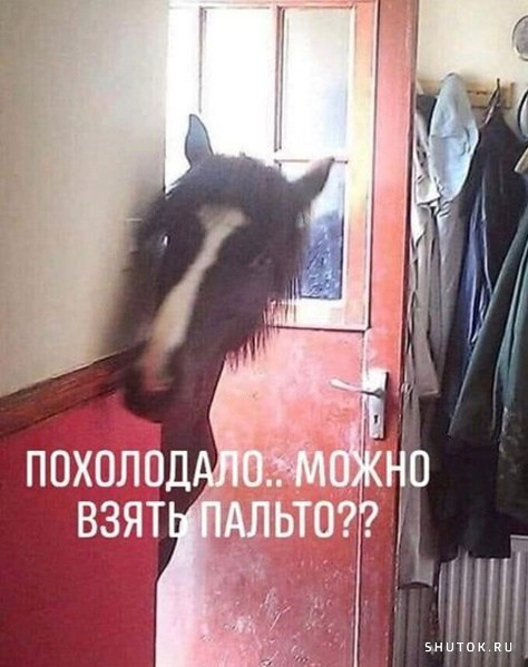 У всех включили отопление господа?