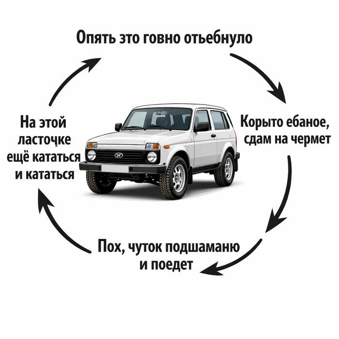 ���� ���� ����� ������