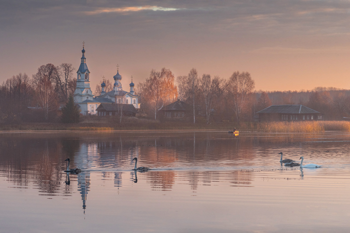 Проплывали мимо лебеди