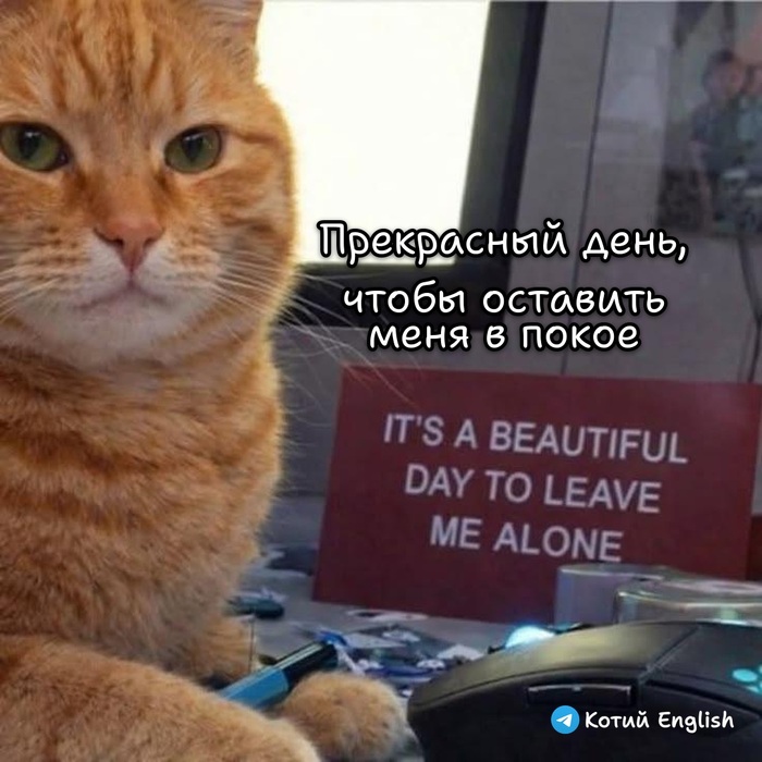������� ����������