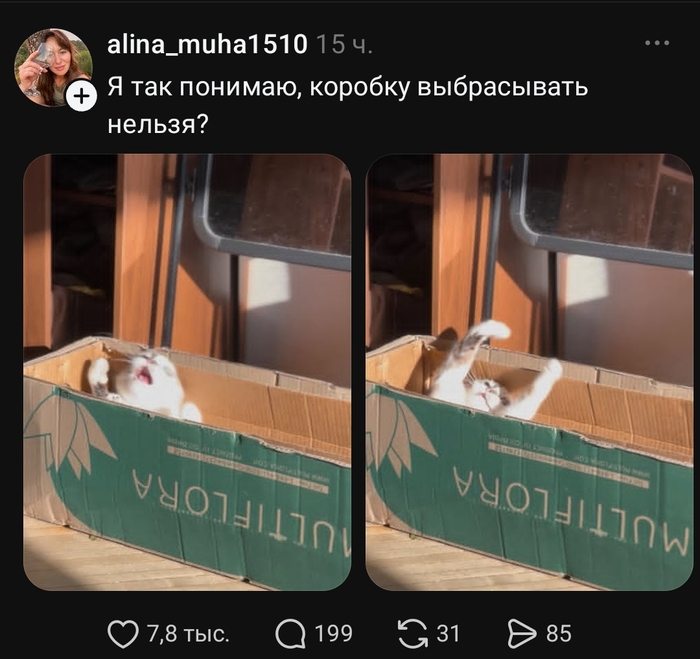 ����� �, �������-��, ��� ���������!