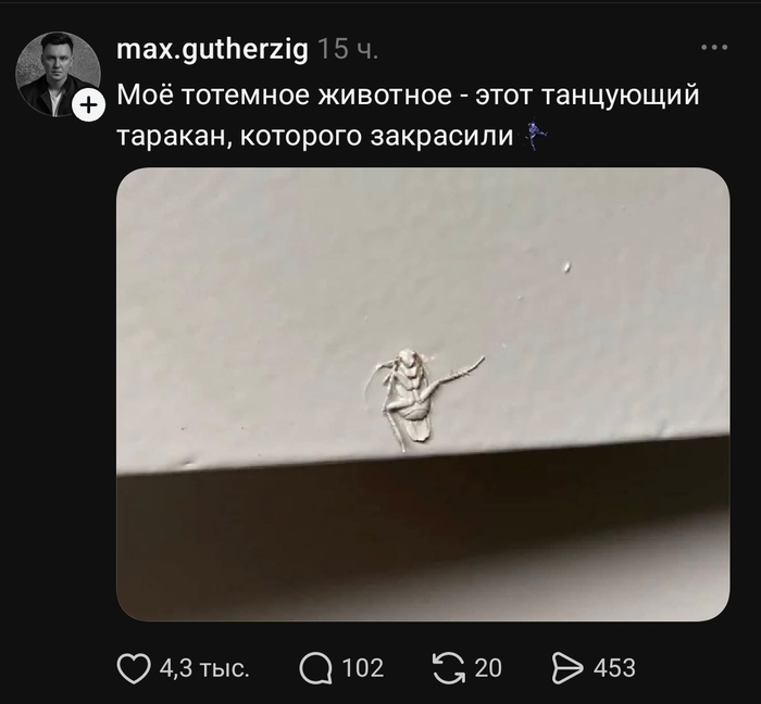 ������ ����
