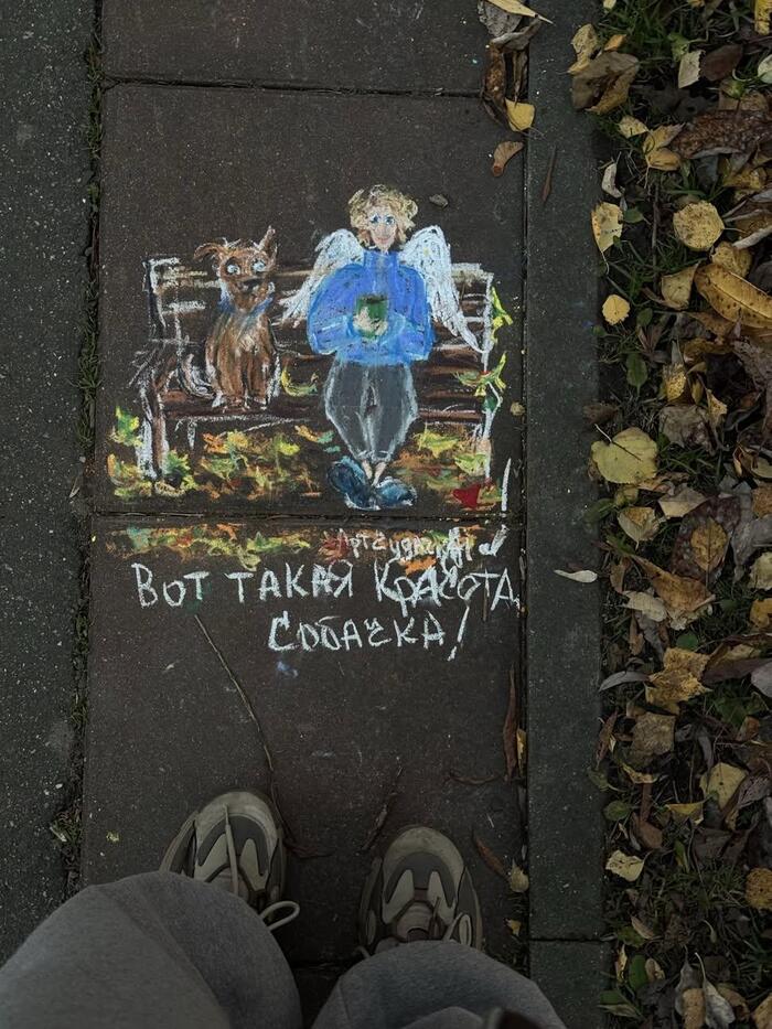 И правда красота