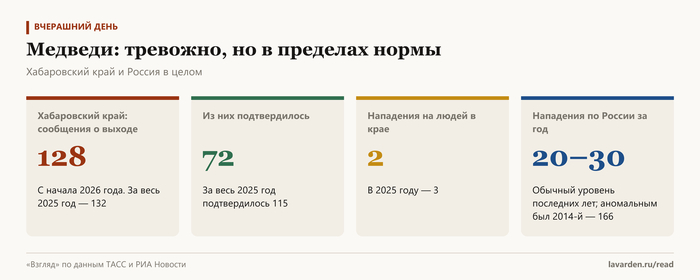 Выходы медведей к людям: цифры Хабаровского края и России