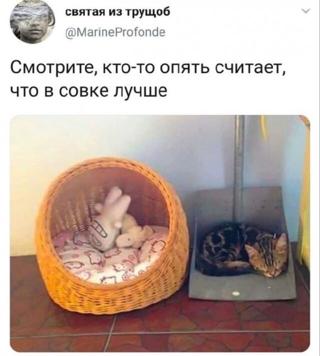 Тема одного из любимых срачей ПЕКОБУ
