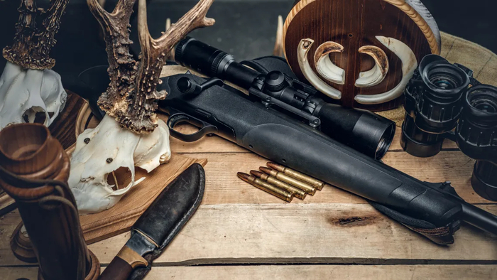 ����: <!--noindex--><a href="https://pikabu.ru/story/millionyi_ushcherba_i_desyatki_izyatyikh_orudiy_chto_skryivayut_okhotnichi_ugodya_tomskoy_oblasti_14467549?u=http%3A%2F%2Fmagnific.com&t=magnific.com&h=b53cc495b4d96480588f82b8c1a36c82e9b395f2" title="http://magnific.com" target="_blank" rel="nofollow noopener">magnific.com</a><!--/noindex-->