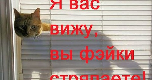 Через надо. День заглядывая в окна. День заглядывали в окна?. День заглядывания в окна юмор. Поздравление на день заглядывая в окна.