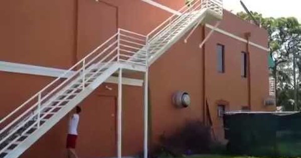 Не лучший способ обнаружить осиное гнездо | Пикабу