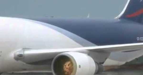 Засосало в турбину. | Пикабу