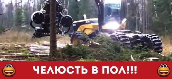 Лесоруб | Пикабу