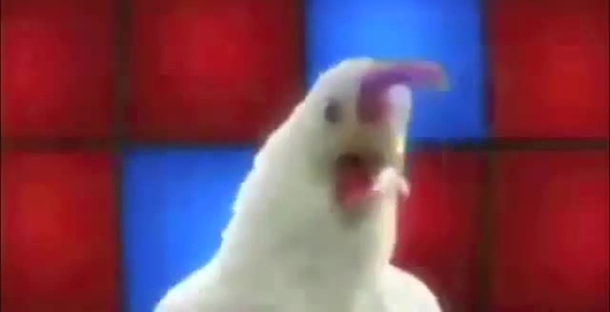 Stripper Chicken Gif