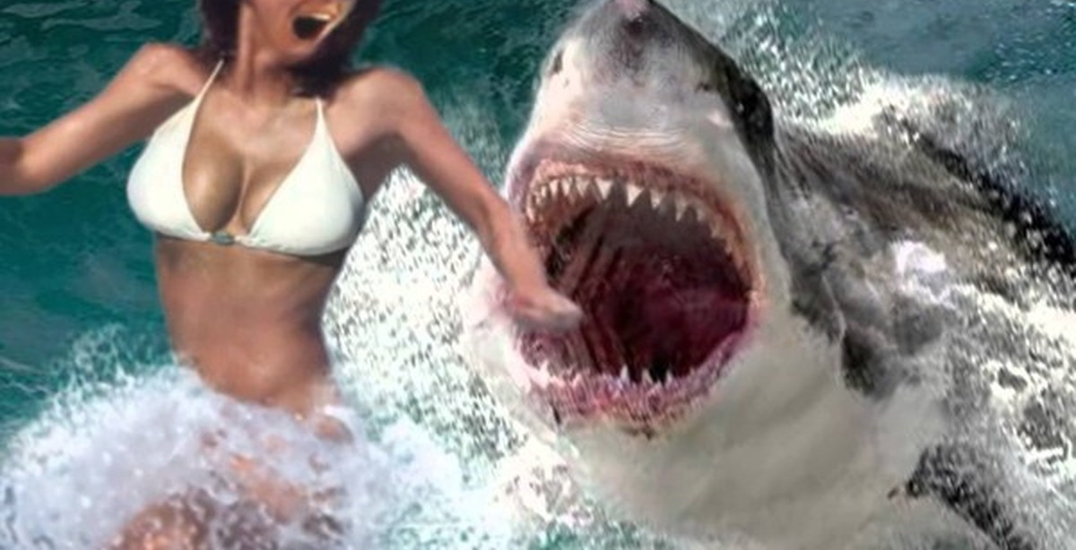 Shark Attack Porn